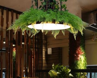 โคมไฟห้อยเพดาน MODEL : PDL-L203