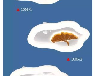 โคมไฟติดเพดาน MODEL :: CL-1006