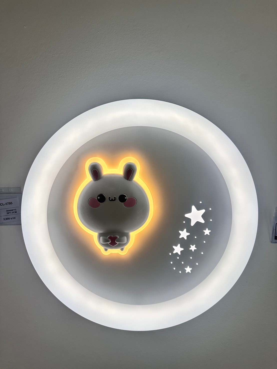 โคมไฟติดเพดาน MODEL :: CL-1795 - Image 14