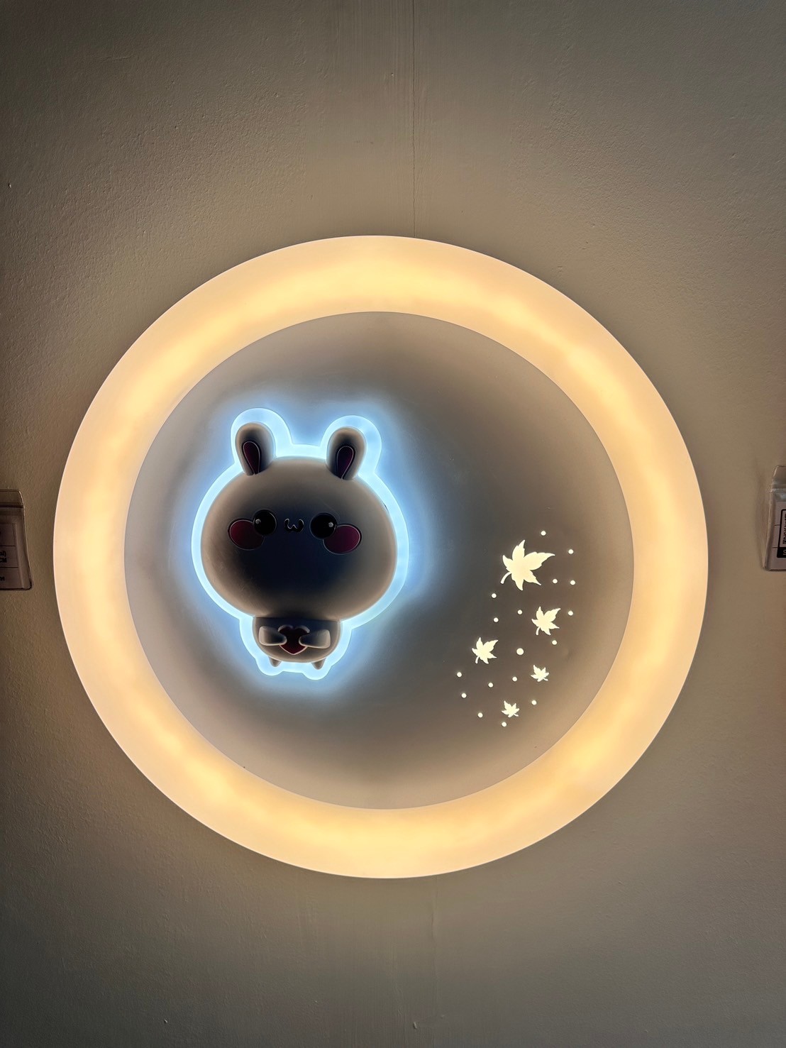 โคมไฟติดเพดาน MODEL :: CL-1795 - Image 15