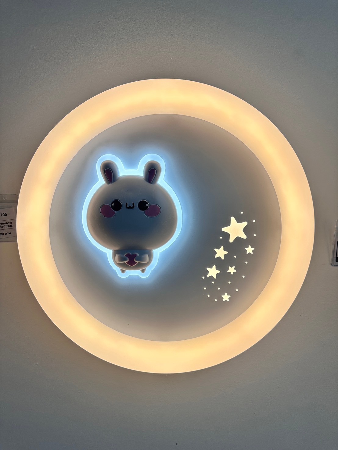 โคมไฟติดเพดาน MODEL :: CL-1795 - Image 16