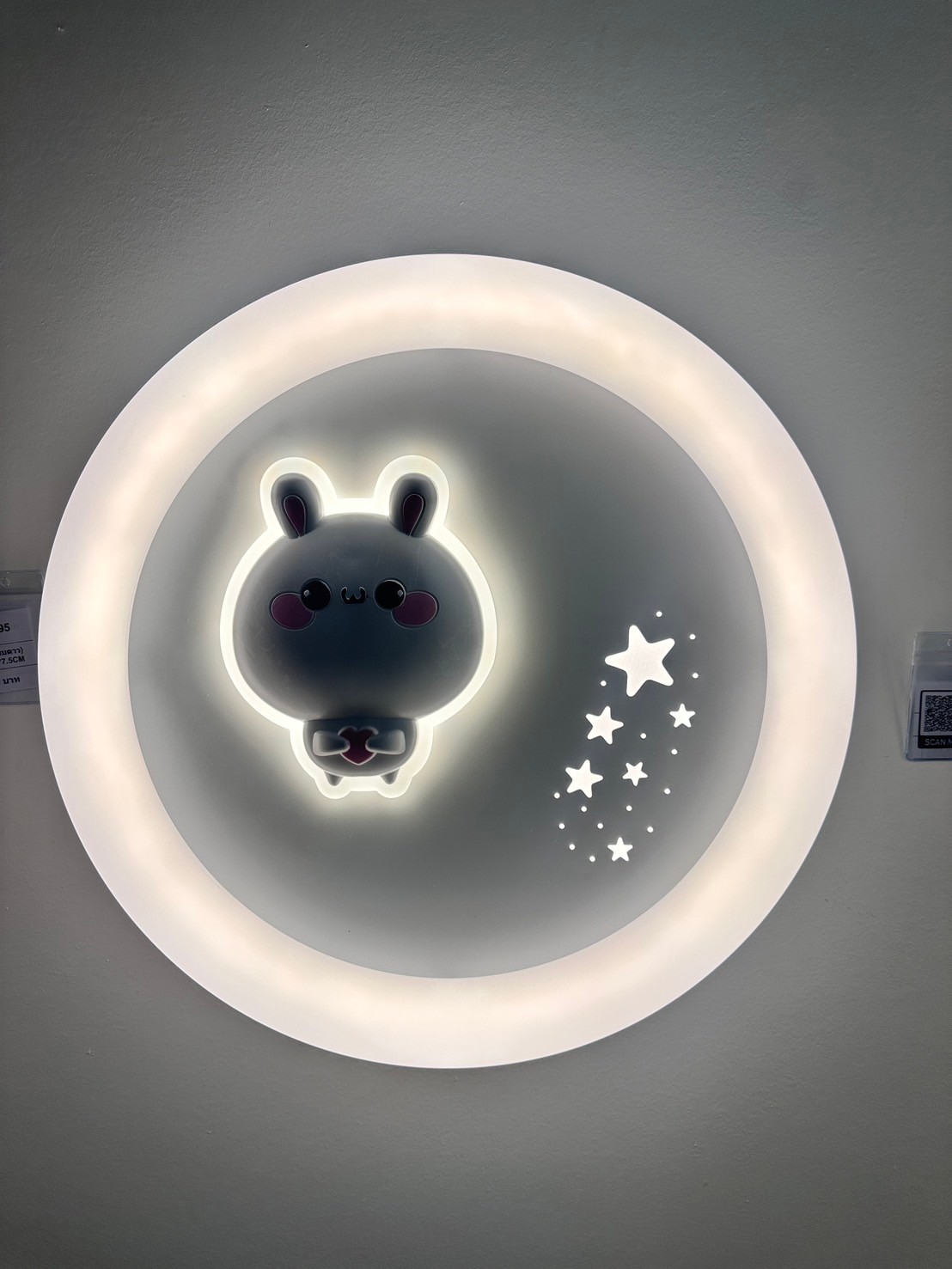 โคมไฟติดเพดาน MODEL :: CL-1795 - Image 11