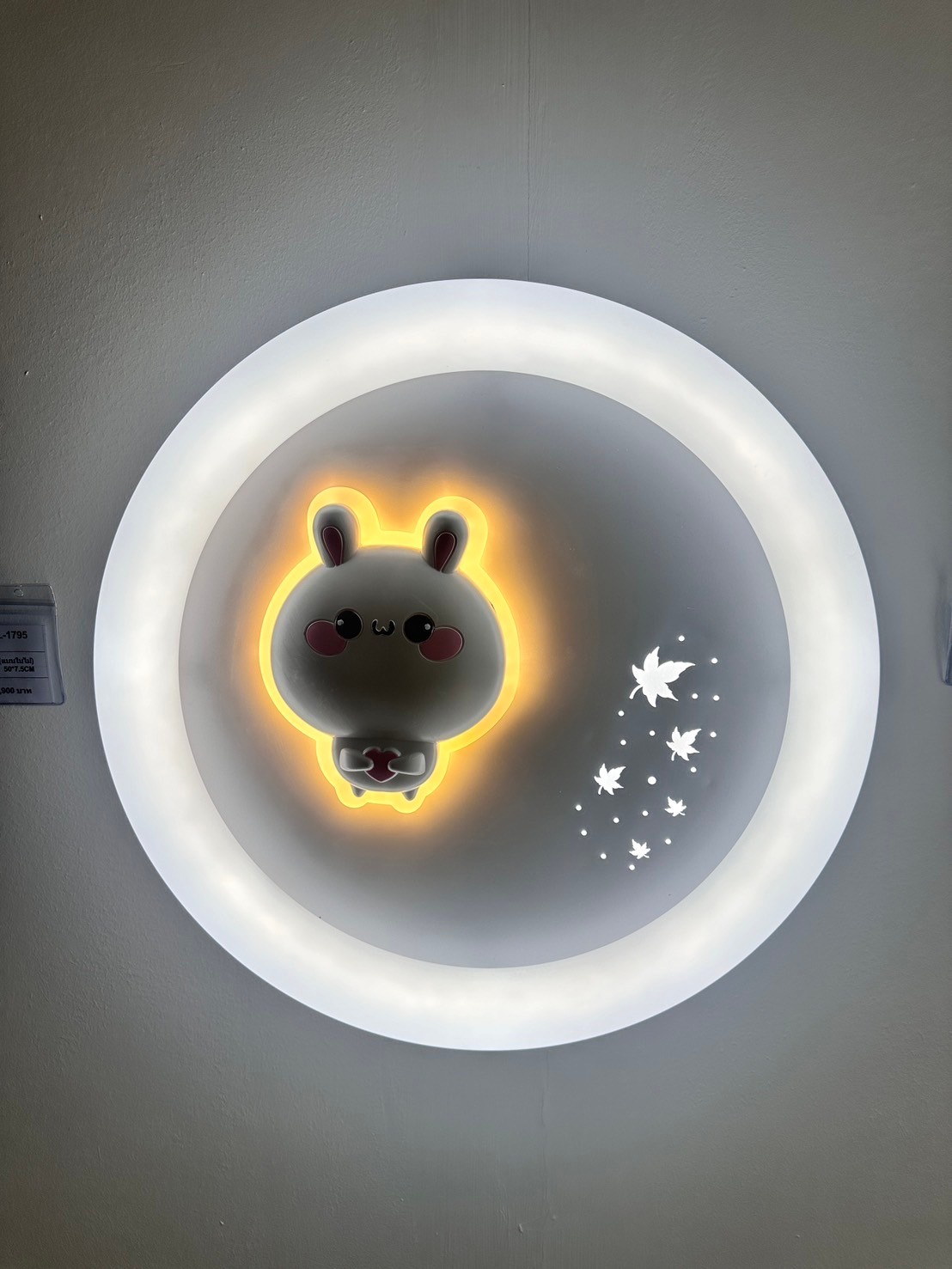 โคมไฟติดเพดาน MODEL :: CL-1795 - Image 13