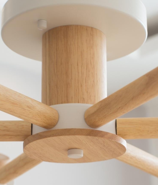 โคมไฟติดเพดาน MODEL :: CL-103 - Image 3