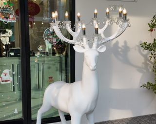 อุปกรณ์ตกแต่งสวนและบ้าน MODEL :: DC-01