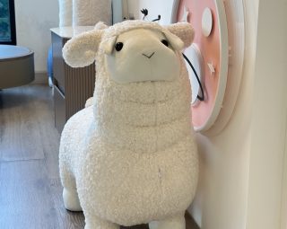 อุปกรณ์ตกแต่งสวนและบ้าน MODEL :: DC-06