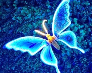 อุปกรณ์ตกแต่งสวนและบ้าน MODEL :: DC-16